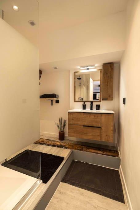 Cocon Sous Les Toits Apartment Albertville Ngoại thất bức ảnh