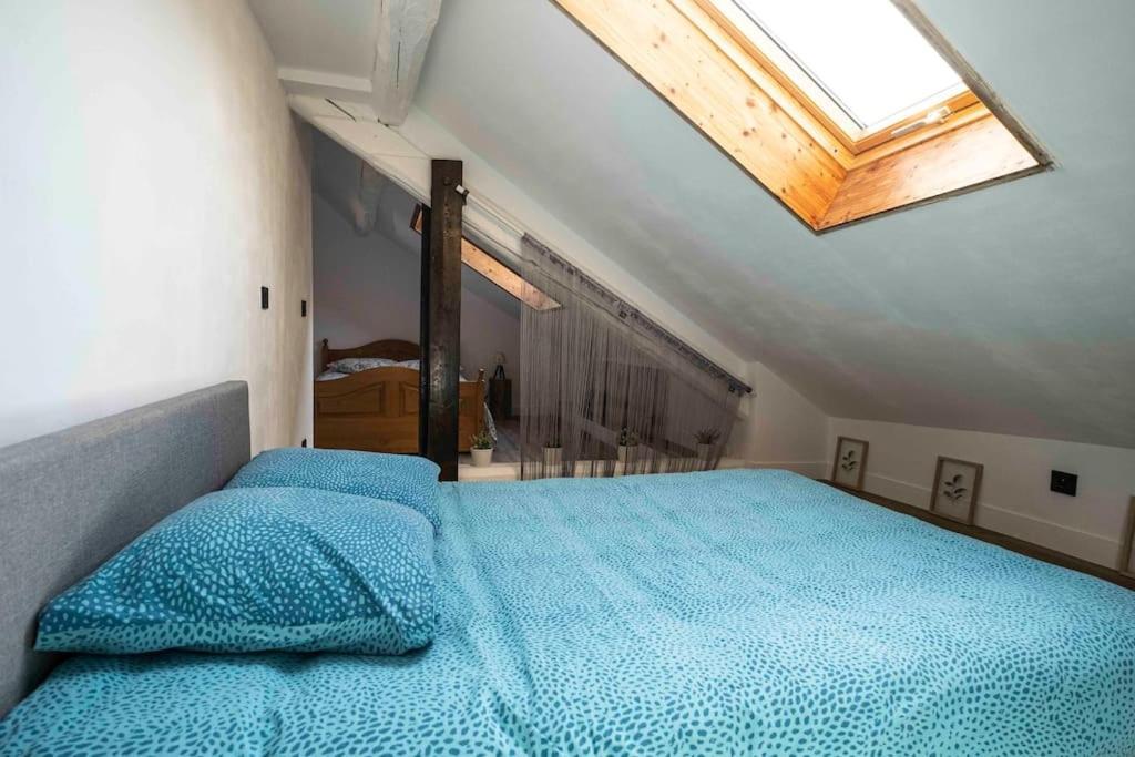Cocon Sous Les Toits Apartment Albertville Ngoại thất bức ảnh