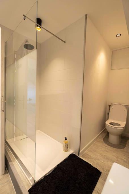 Cocon Sous Les Toits Apartment Albertville Ngoại thất bức ảnh