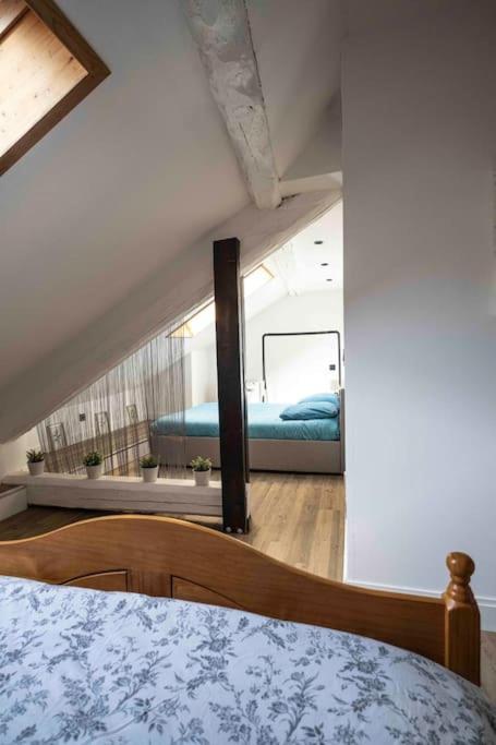 Cocon Sous Les Toits Apartment Albertville Ngoại thất bức ảnh