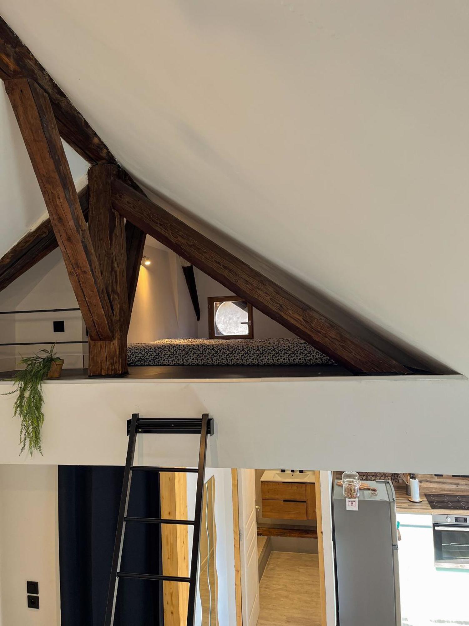 Cocon Sous Les Toits Apartment Albertville Ngoại thất bức ảnh