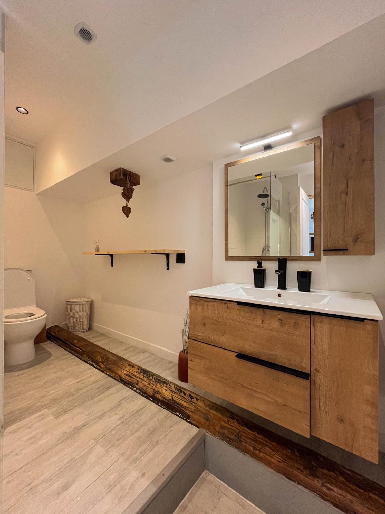 Cocon Sous Les Toits Apartment Albertville Ngoại thất bức ảnh