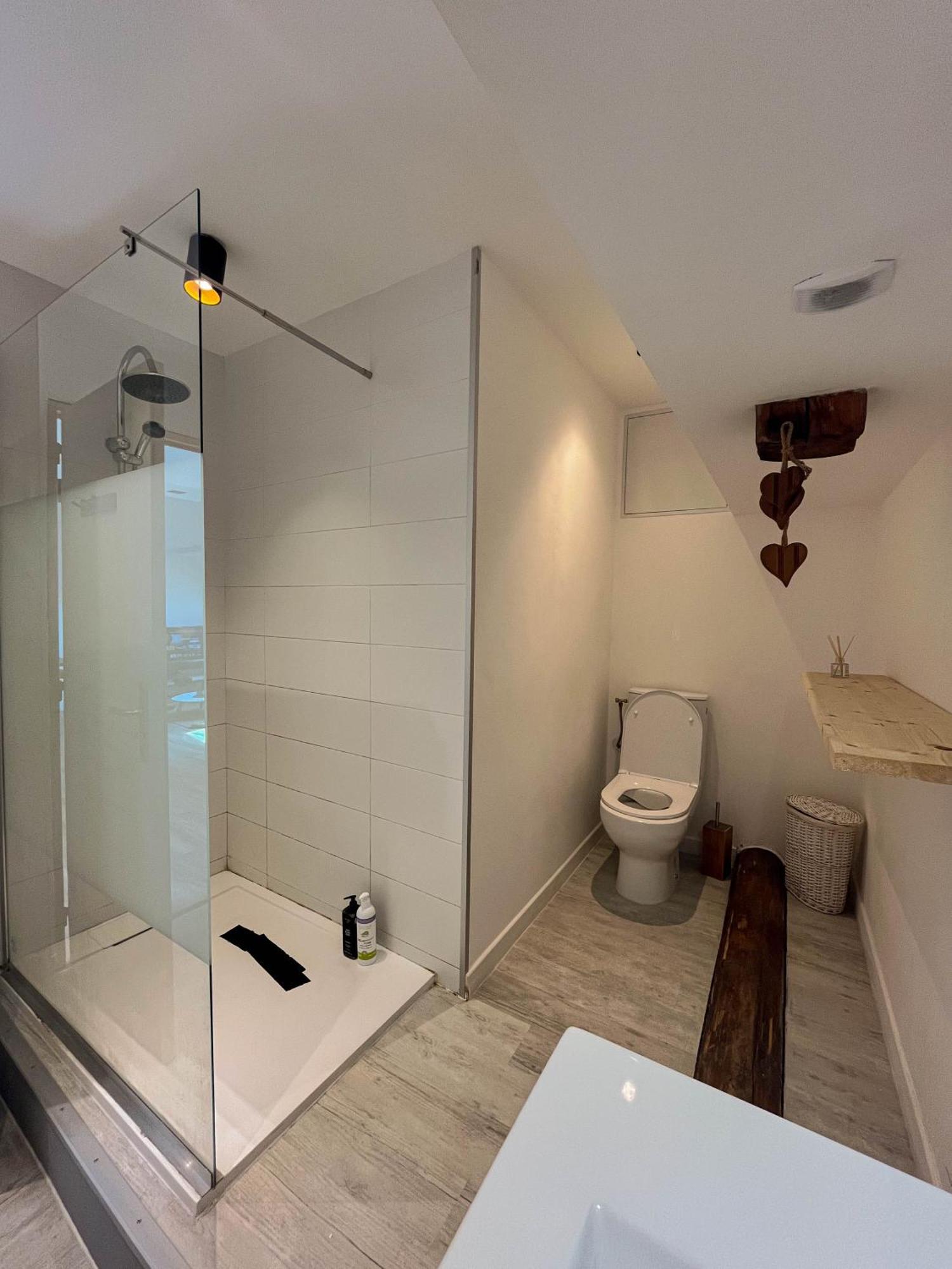 Cocon Sous Les Toits Apartment Albertville Ngoại thất bức ảnh