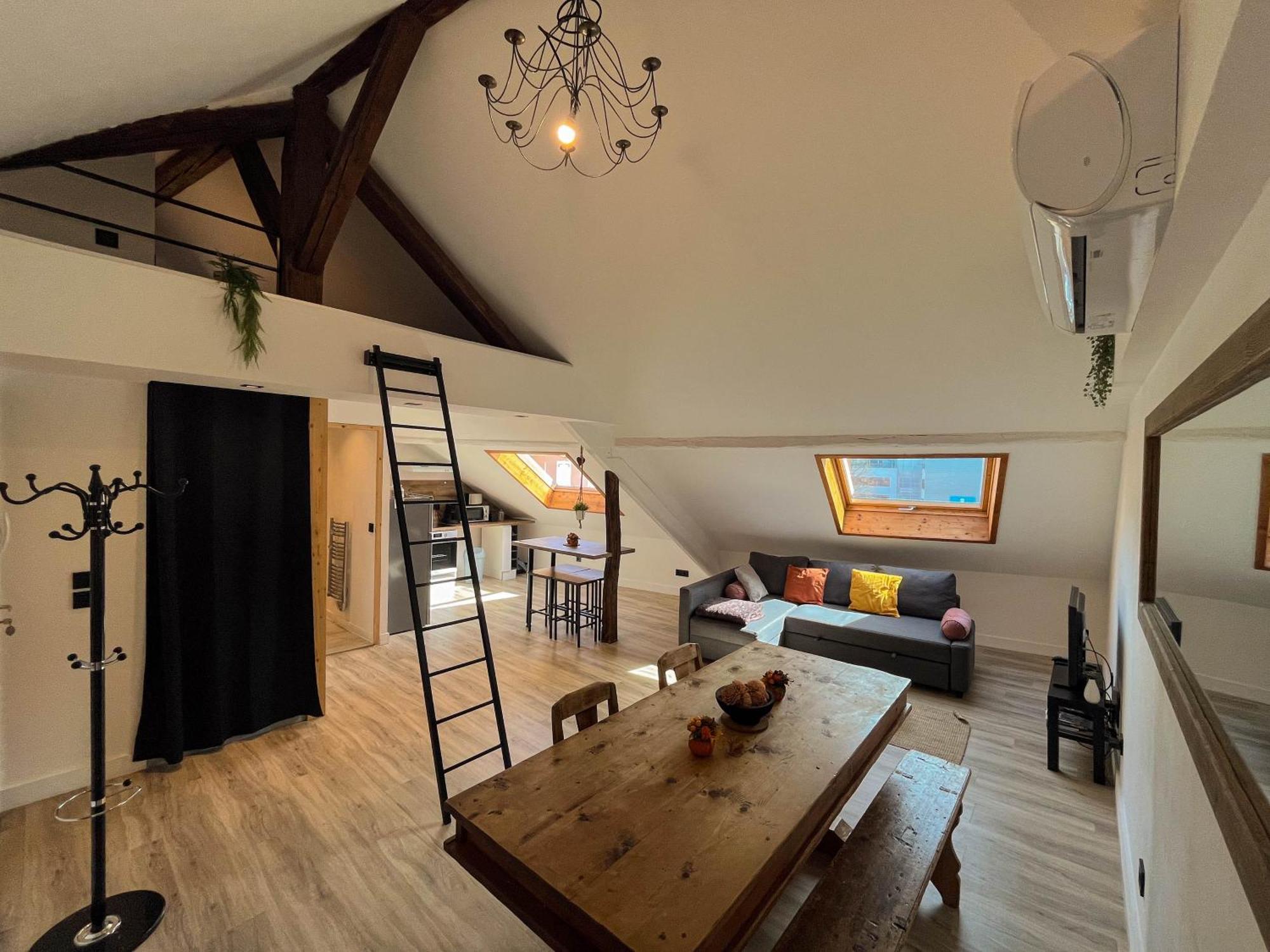 Cocon Sous Les Toits Apartment Albertville Ngoại thất bức ảnh