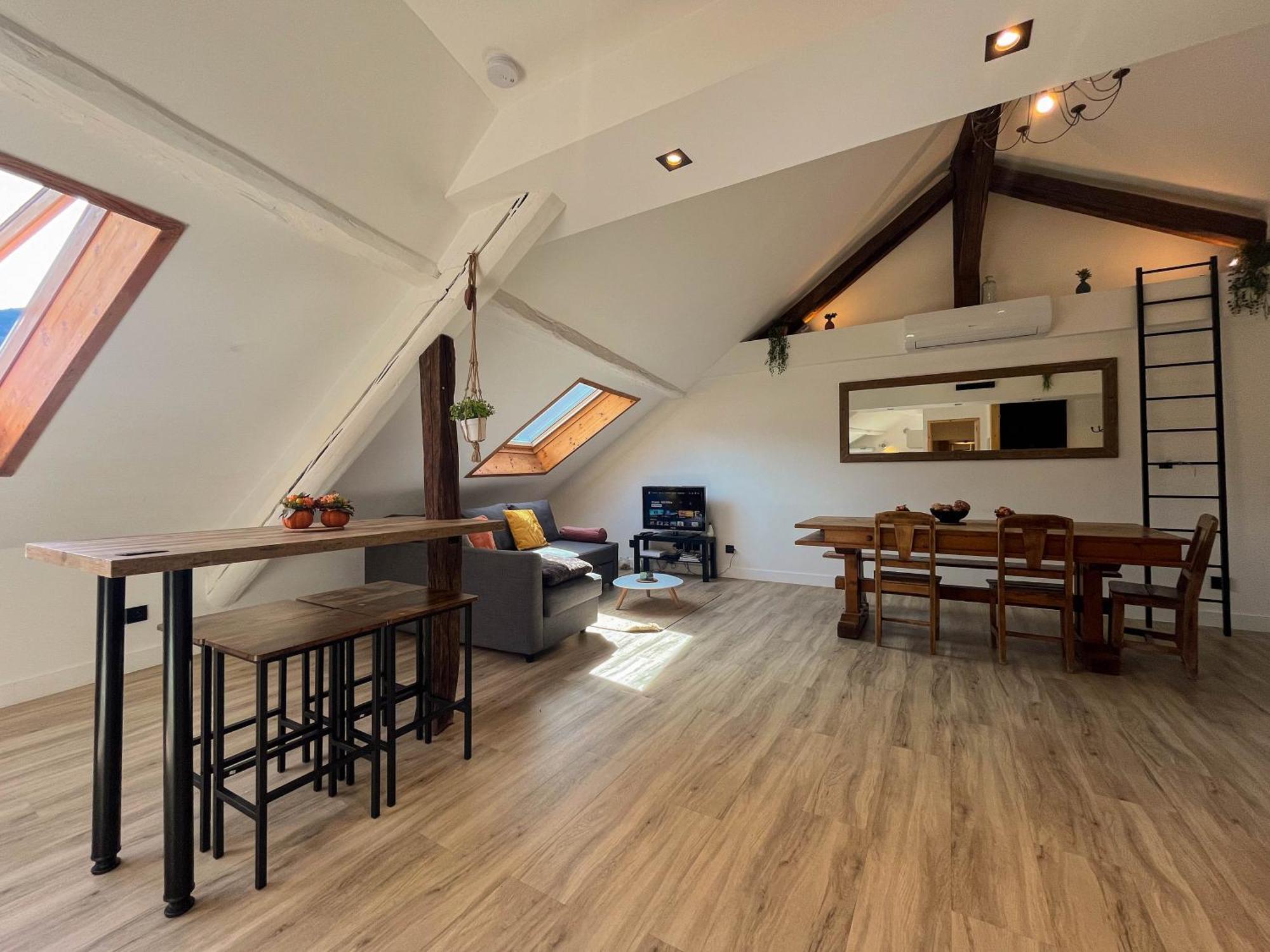 Cocon Sous Les Toits Apartment Albertville Ngoại thất bức ảnh