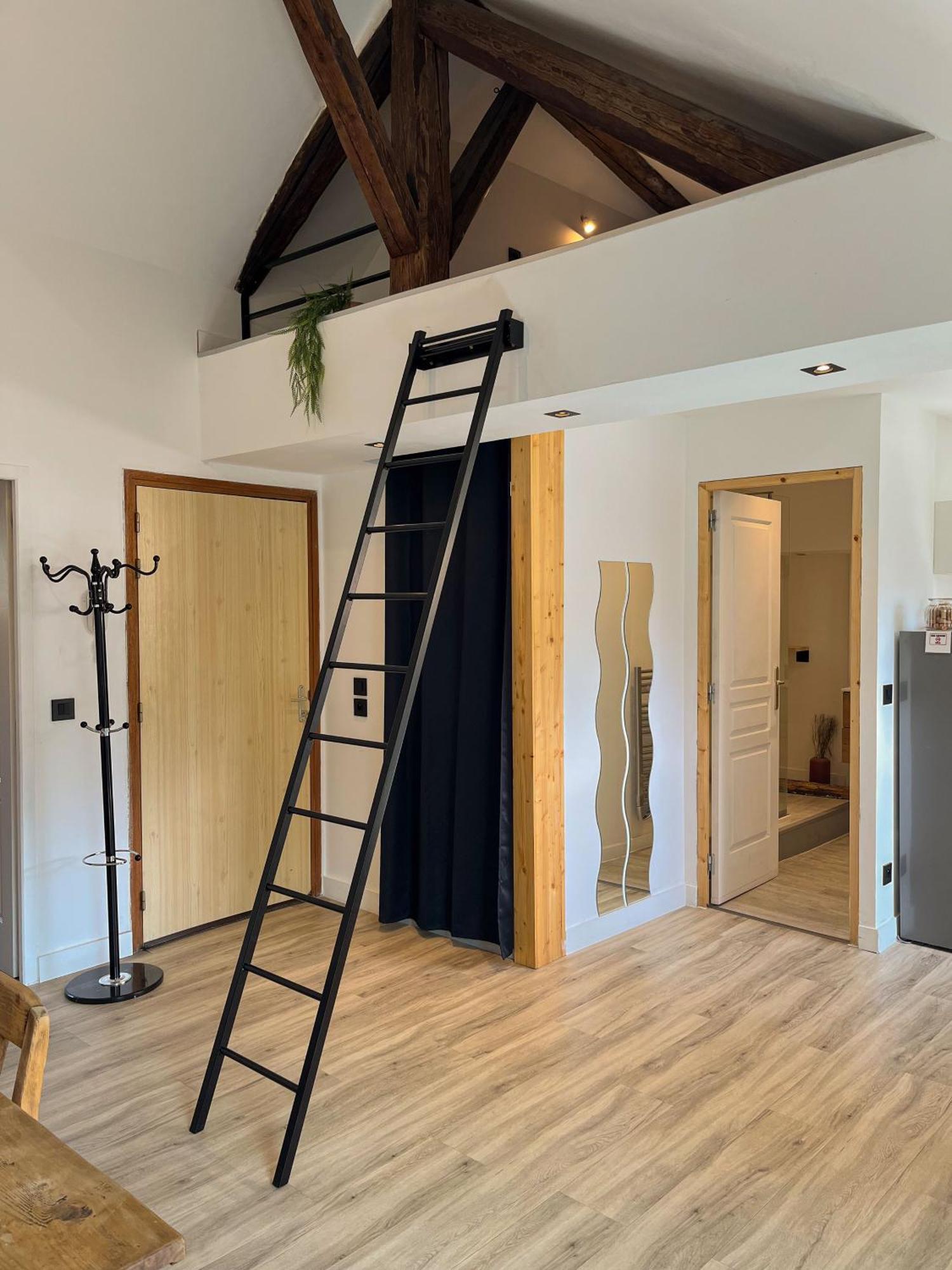 Cocon Sous Les Toits Apartment Albertville Ngoại thất bức ảnh