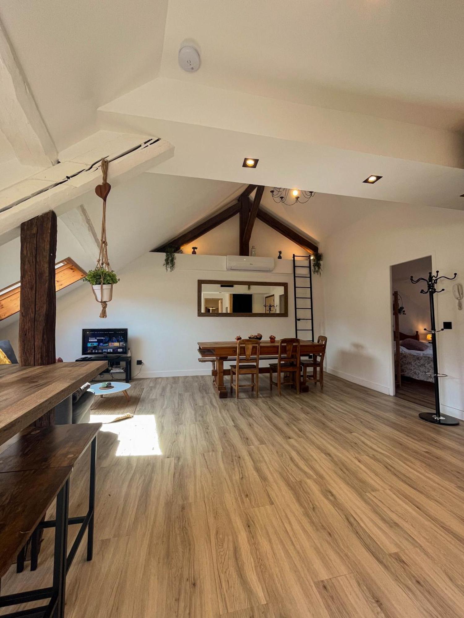 Cocon Sous Les Toits Apartment Albertville Ngoại thất bức ảnh