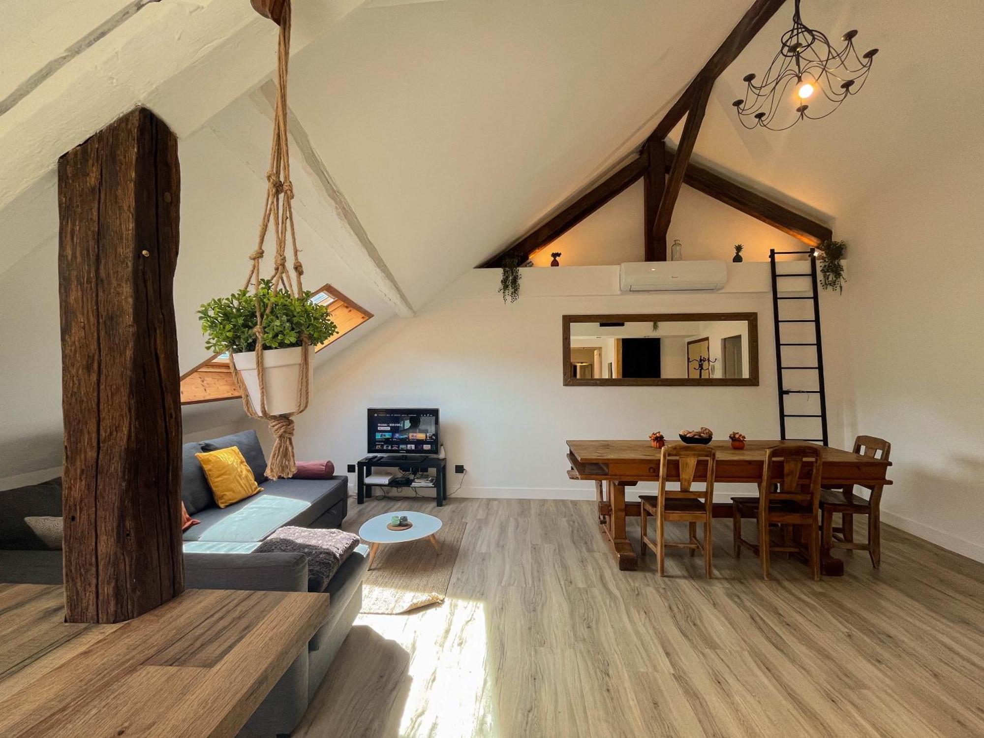 Cocon Sous Les Toits Apartment Albertville Ngoại thất bức ảnh